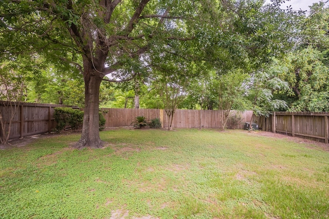 11714 Welshpool Glen Dr, Houston, TX 77066 - view of yard