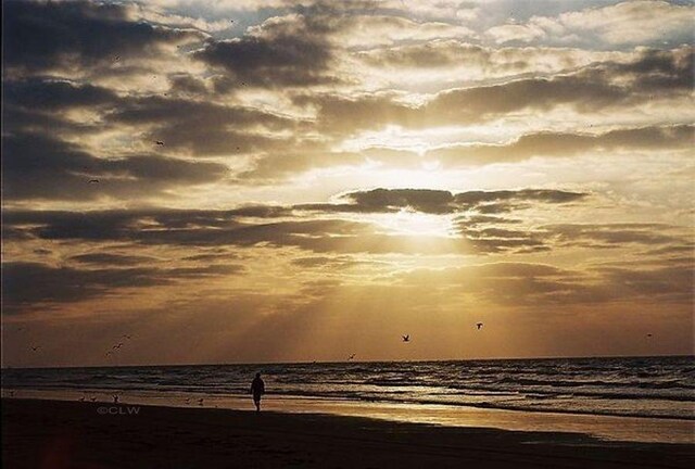 11945 Termini San Luis Pass Rd Unit 205, Galveston, TX 77554 - photo 25