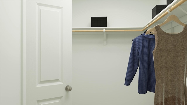 10823 Red Orchid Dr, Houston, TX 77016 - view of spacious closet