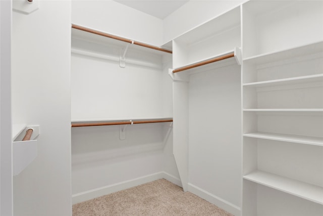904 W 20th St Unit C, Houston, TX 77008 - spacious closet with carpet floors