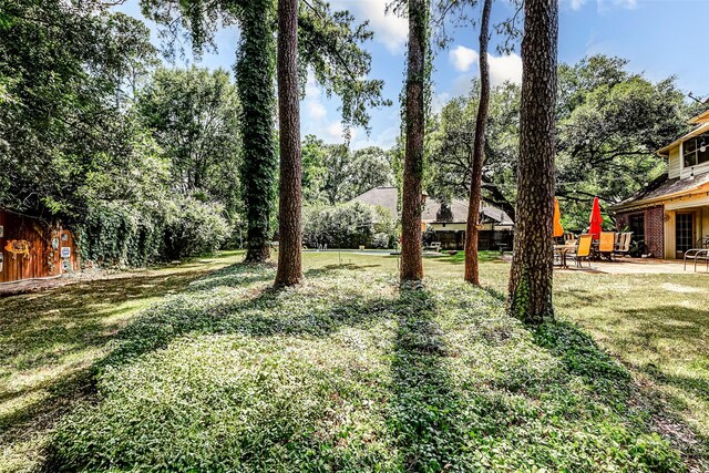 6225 Morton Rd, Katy, TX 77493 - view of grassy yard with a patio area