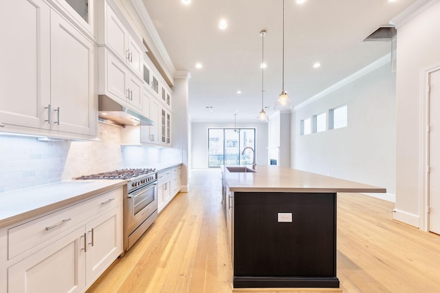 1008 Golden Nectar, Houston, TX 77008 - kitchen with high end stainless steel range oven, under cabinet range hood, crown molding, a sink, and light countertops