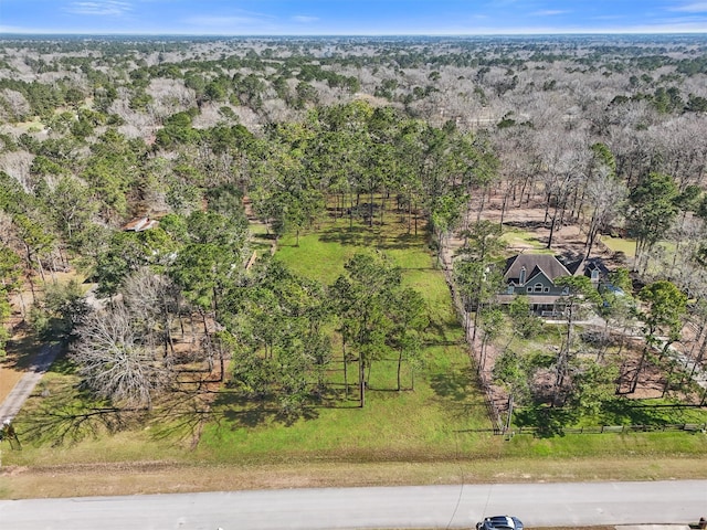 29810 Commons Superior Dr, Huffman, TX 77336 - photo 4