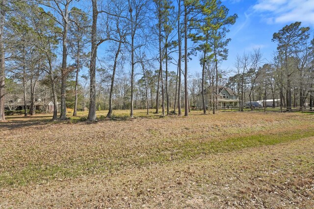 29810 Commons Superior Dr, Huffman, TX 77336 - photo 6