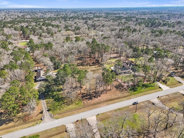 29810 Commons Superior Dr, Huffman, TX 77336 - photo 23