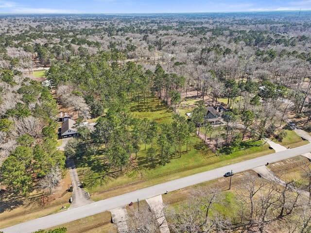 29810 Commons Superior Dr, Huffman, TX 77336 - photo 24