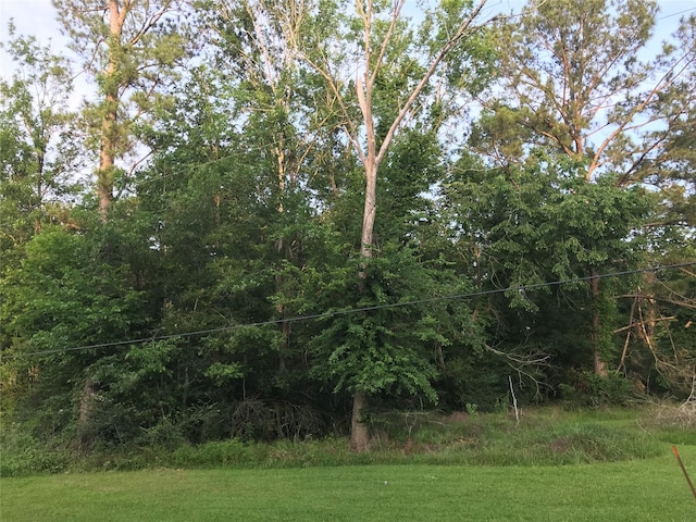 150 Lakeside Ct, Goodrich, TX 77335
