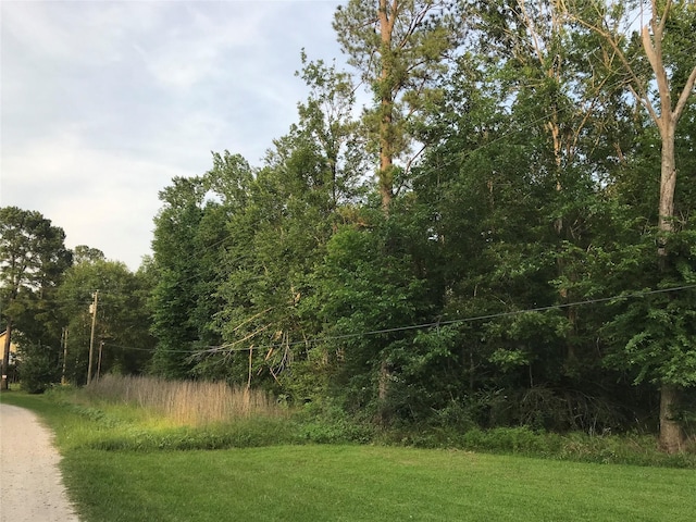 150 Lakeside Ct, Goodrich, TX 77335