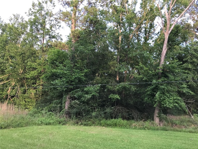 150 Lakeside Ct, Goodrich, TX 77335