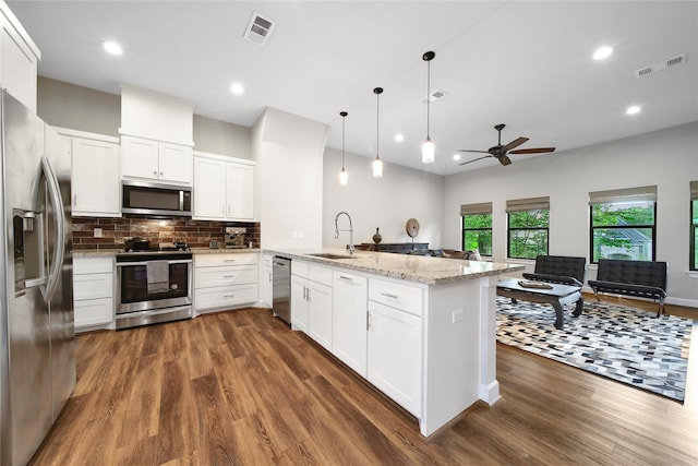 3148 Poe Dr, Montgomery, TX 77356 - kitchen featuring appliances with stainless steel finishes, a sink, dark wood finished floors, ceiling fan, and decorative backsplash