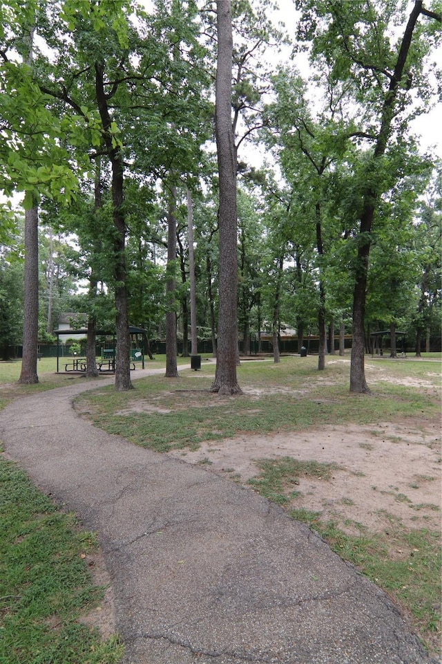 9003 Gaylord Dr Unit 11, Houston, TX 77024 - view of yard