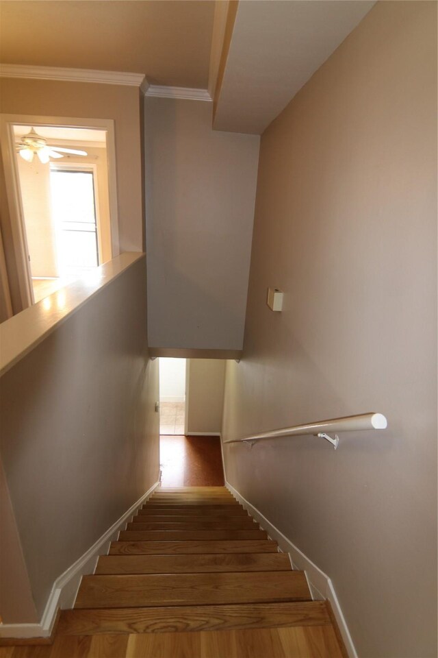 9003 Gaylord Dr Unit 11, Houston, TX 77024 - staircase featuring wood finished floors, crown molding, a ceiling fan, and baseboards