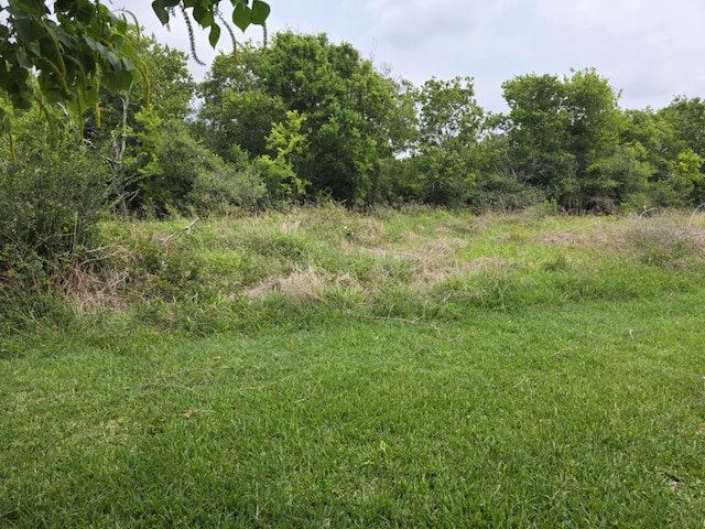 182 Smith Rd, Palacios, TX 77465 - view of local wilderness