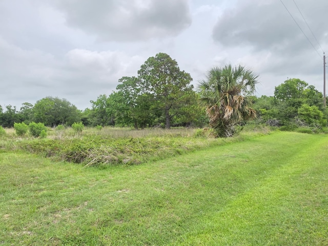 182 Smith Rd, Palacios, TX 77465 - view of yard