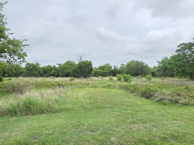 182 Smith Rd, Palacios, TX 77465 - view of yard
