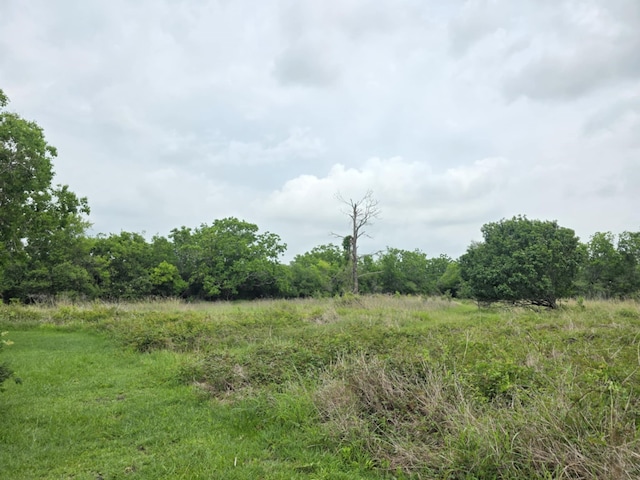 182 Smith Rd, Palacios, TX 77465 - view of undeveloped land