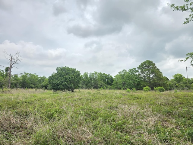 182 Smith Rd, Palacios, TX 77465 - view of nature