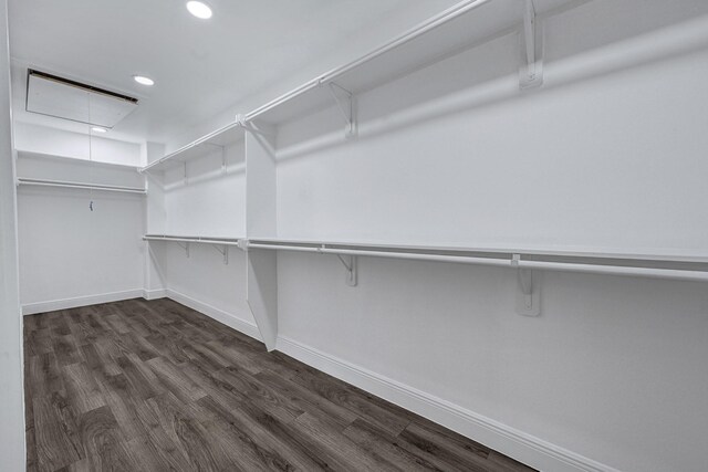9805 Fabiola Dr, Houston, TX 77075 - spacious closet featuring attic access and dark wood-type flooring