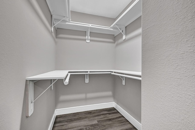 9805 Fabiola Dr, Houston, TX 77075 - spacious closet with dark wood-style floors