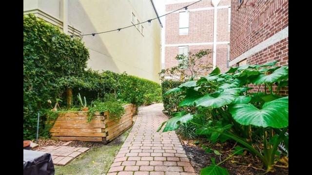 118 Mcgowen St Unit E, Houston, TX 77006 - view of patio / terrace featuring a vegetable garden