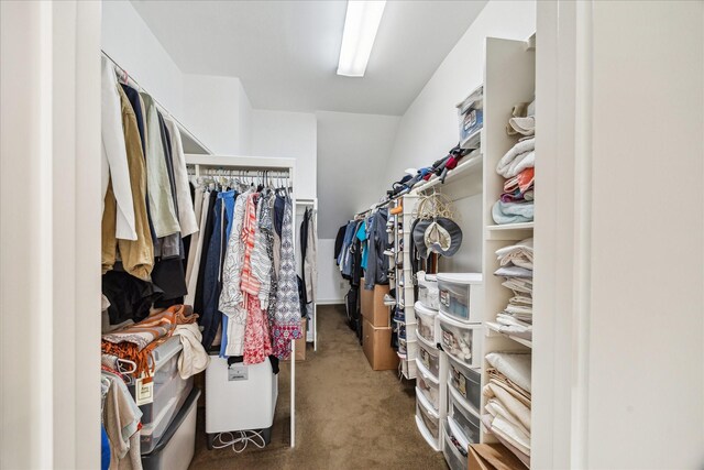1202 Marconi St, Houston, TX 77019 - spacious closet with carpet floors