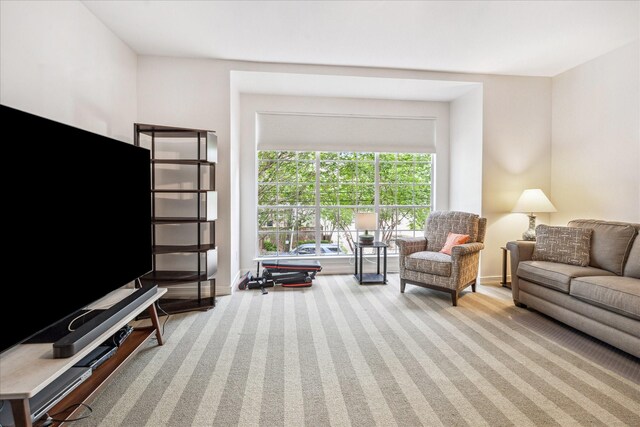 1202 Marconi St, Houston, TX 77019 - living room featuring carpet flooring and baseboards