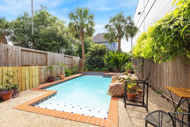 1202 Marconi St, Houston, TX 77019 - view of swimming pool featuring a fenced backyard and a patio