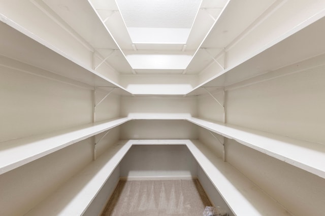 127 S Copperknoll Cir, The Woodlands, TX 77381 - view of pantry