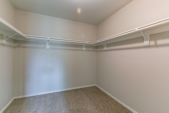 12518 Rosslare Dr, Houston, TX 77066 - walk in closet featuring carpet floors