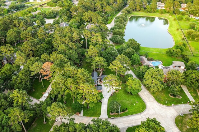 15912 Rosethorn Ct, Cypress, TX 77429 - aerial overview of property's location featuring a nearby body of water and a tree filled landscape