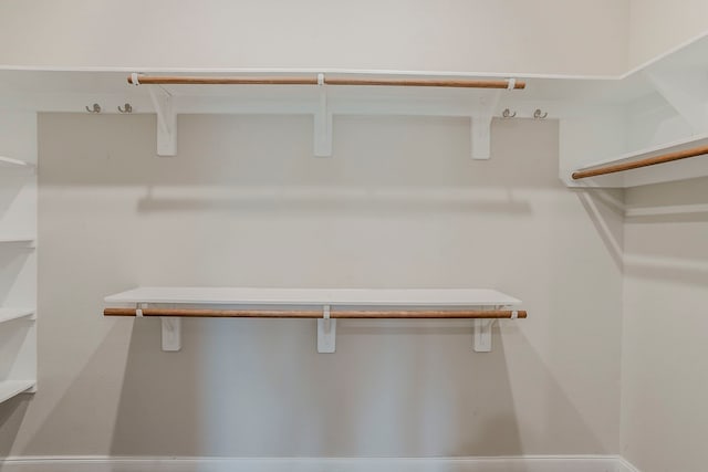 13605 Northline Lake Dr, Houston, TX 77044 - view of walk in closet