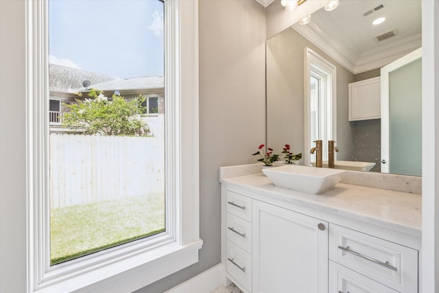 2216 Tangley St, Houston, TX 77005 - bathroom featuring ornamental molding, vanity, and plenty of natural light