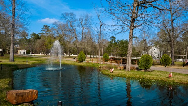 7519 Red Bay Cir, Magnolia, TX 77354 - water view featuring a tree filled landscape