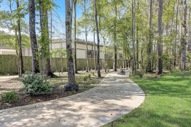 7519 Red Bay Cir, Magnolia, TX 77354 - view of surrounding community