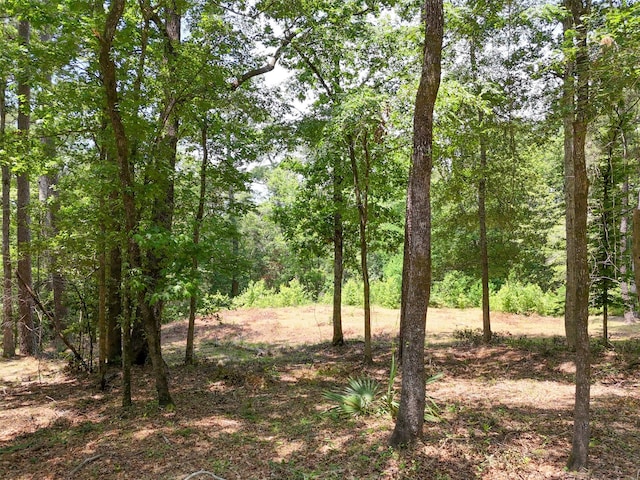 7393 Teaswood Dr, Conroe, TX 77304