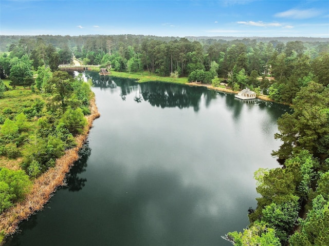 7393 Teaswood Dr, Conroe, TX 77304