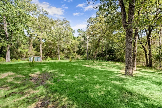 108 Hereford Dr, Conroe, TX 77304 - view of green lawn