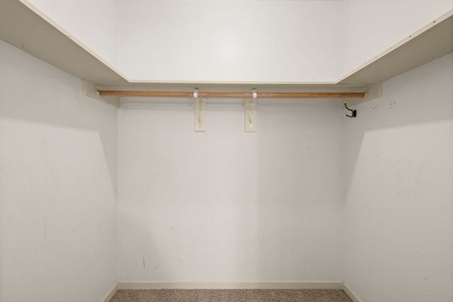 108 Hereford Dr, Conroe, TX 77304 - walk in closet with carpet flooring