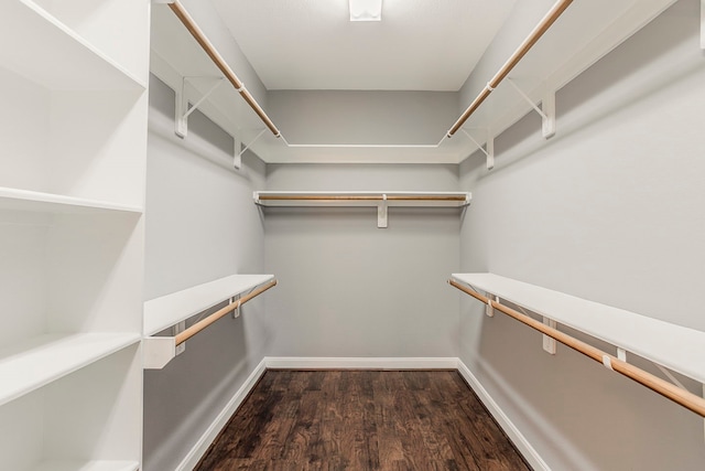 13516 Northline Lake Dr, Houston, TX 77044 - walk in closet featuring dark wood-type flooring