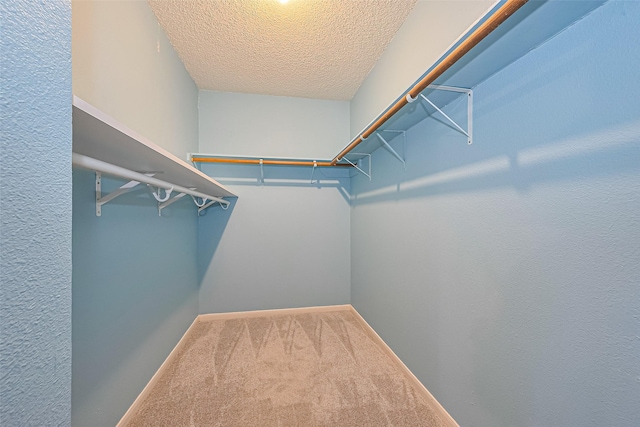 1010 Cheyenne Meadows Dr, Katy, TX 77450 - spacious closet featuring carpet flooring