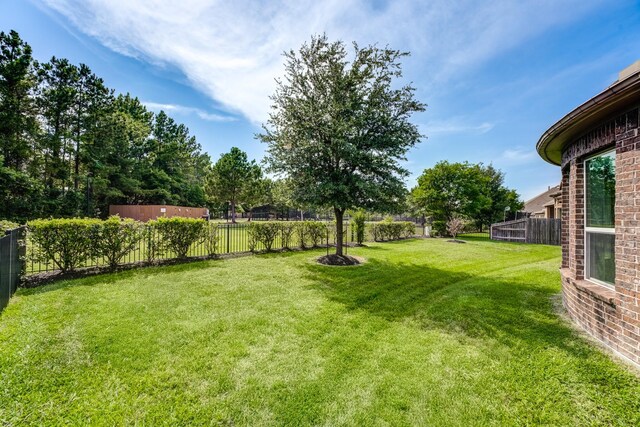 3650 Sage Hollow Dr, Spring, TX 77386 - view of yard