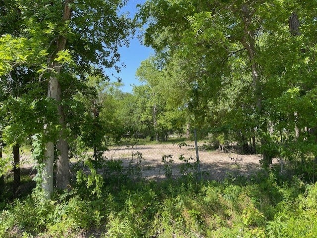 TBD Sandra St, Houston, TX 77016