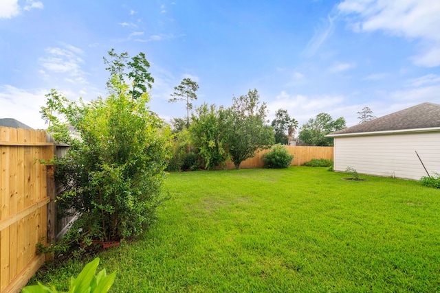 17426 Memorial Blossom Dr, Spring, TX 77379 - view of yard
