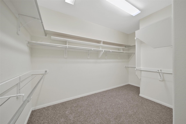 10938 Glenrothers Dr, Richmond, TX 77407 - spacious closet featuring carpet flooring