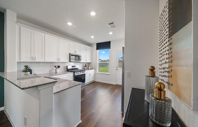25319 Merino Dr, Magnolia, TX 77355 - kitchen with stainless steel appliances, dark wood-style flooring, light stone counters, recessed lighting, and a peninsula