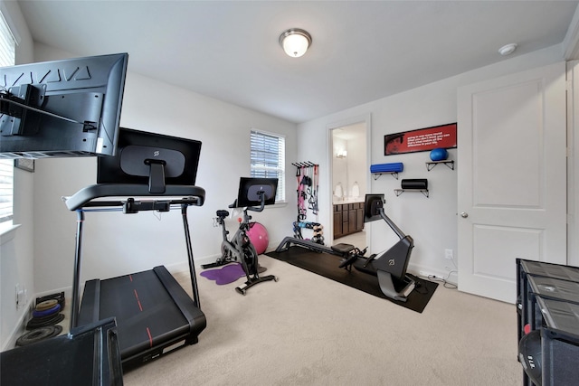 118 Grant Cove Dr, Montgomery, TX 77316 - workout room featuring carpet floors