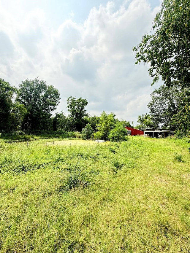 15125 S Dr, Channelview, TX 77530 - view of yard with a rural view