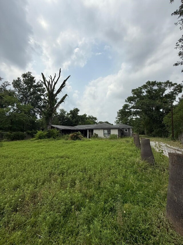 15125 S Dr, Channelview, TX 77530 - view of yard