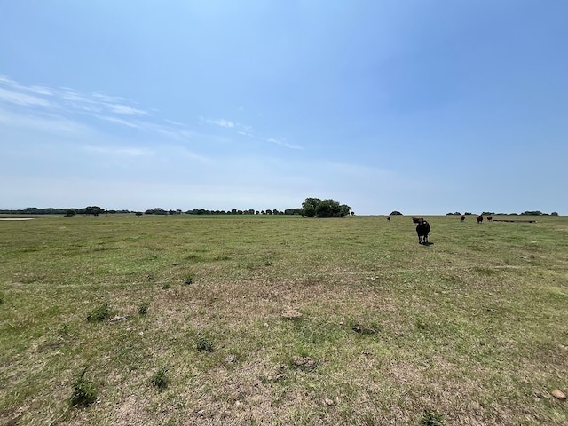 TBD W Sedan Rd, Weimar, TX 78962 - photo 10