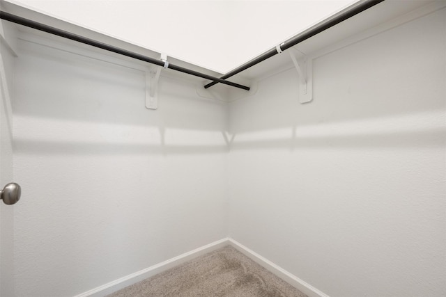 10522 Rigel Ridge Way, Richmond, TX 77406 - walk in closet with carpet flooring